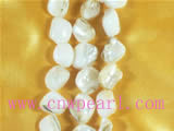 pure white teeth shaped shell strand
